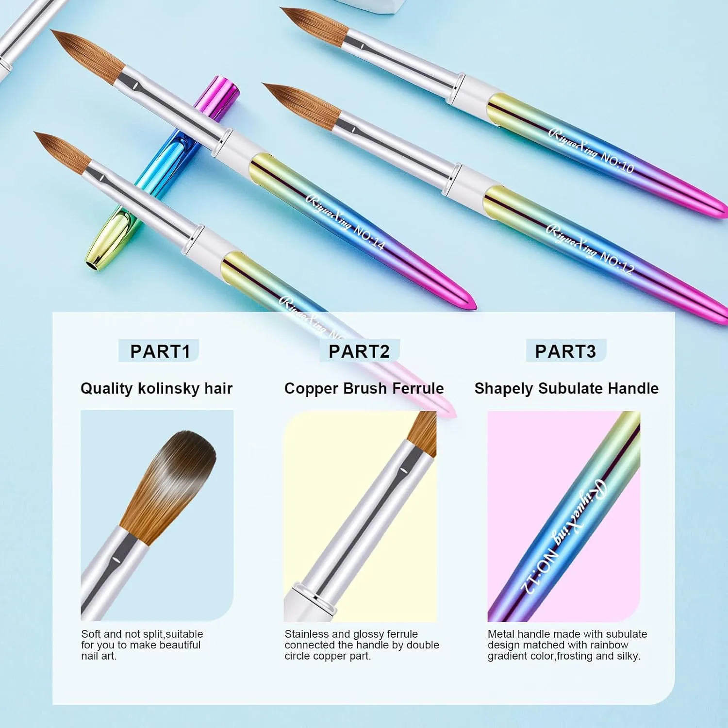 6PCS Kolinsky Nail Art Brush Set, 4/8/10/12/14/16. Oval Shaped Acrylic Powder Nail Design Tools for Professional Manicure DIY Home
