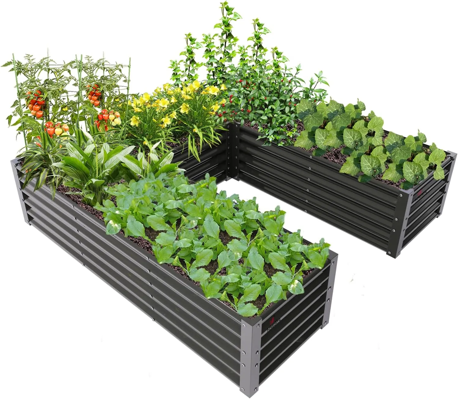 A ANLEOLIFE U-Shaped Galvanized Raised Garden Beds Outdoor,6x6x1.5ft Large Metal Planter Box for Planting Vegetables Flowers Herb, Anti-Rust & Easy-Setup, Quartz Grey
