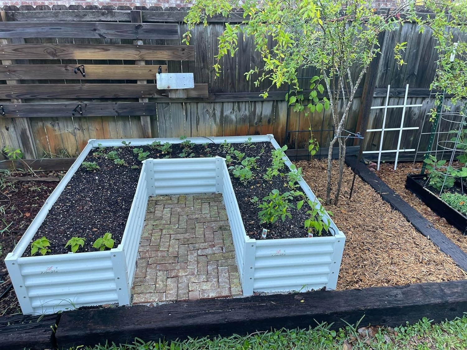 A ANLEOLIFE U-Shaped Galvanized Raised Garden Beds Outdoor,6x6x1.5ft Large Metal Planter Box for Planting Vegetables Flowers Herb, Anti-Rust & Easy-Setup, Antique White