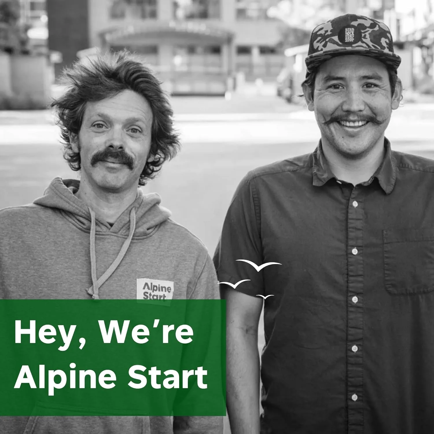 Alpine Start Instant Coffee Original Blend Medium Roast - Individual Powder Mix From High Altitude Arabica Coffee Beans - Hot or Cold Brew for Home, Travel, Hiking, Backpacking(0.11 OZ)Total 24 Sticks