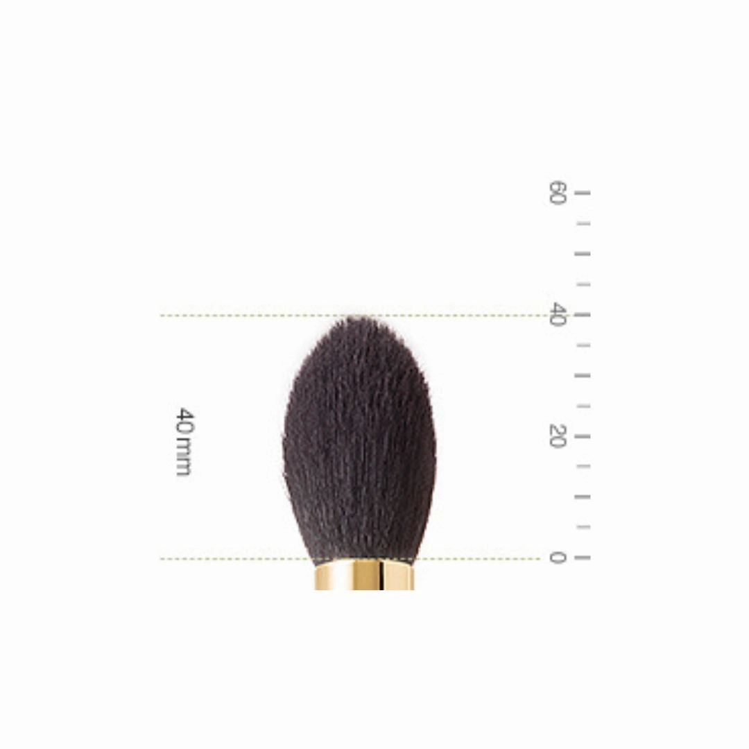 Bisyodo B-HC-01 Highlight Cheek Brush (Long Series)