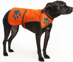 Blaze Orange, Reflective Dog Vest & Bandana (Medium). Safety Gear to Help Prevent Hunting & Motorist Accidents.