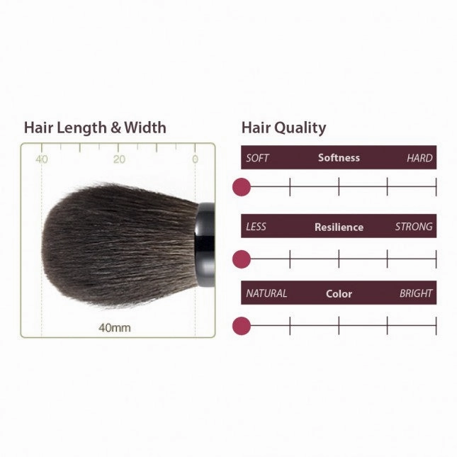 Chikuhodo Z-8 Cheek Brush, Z Series