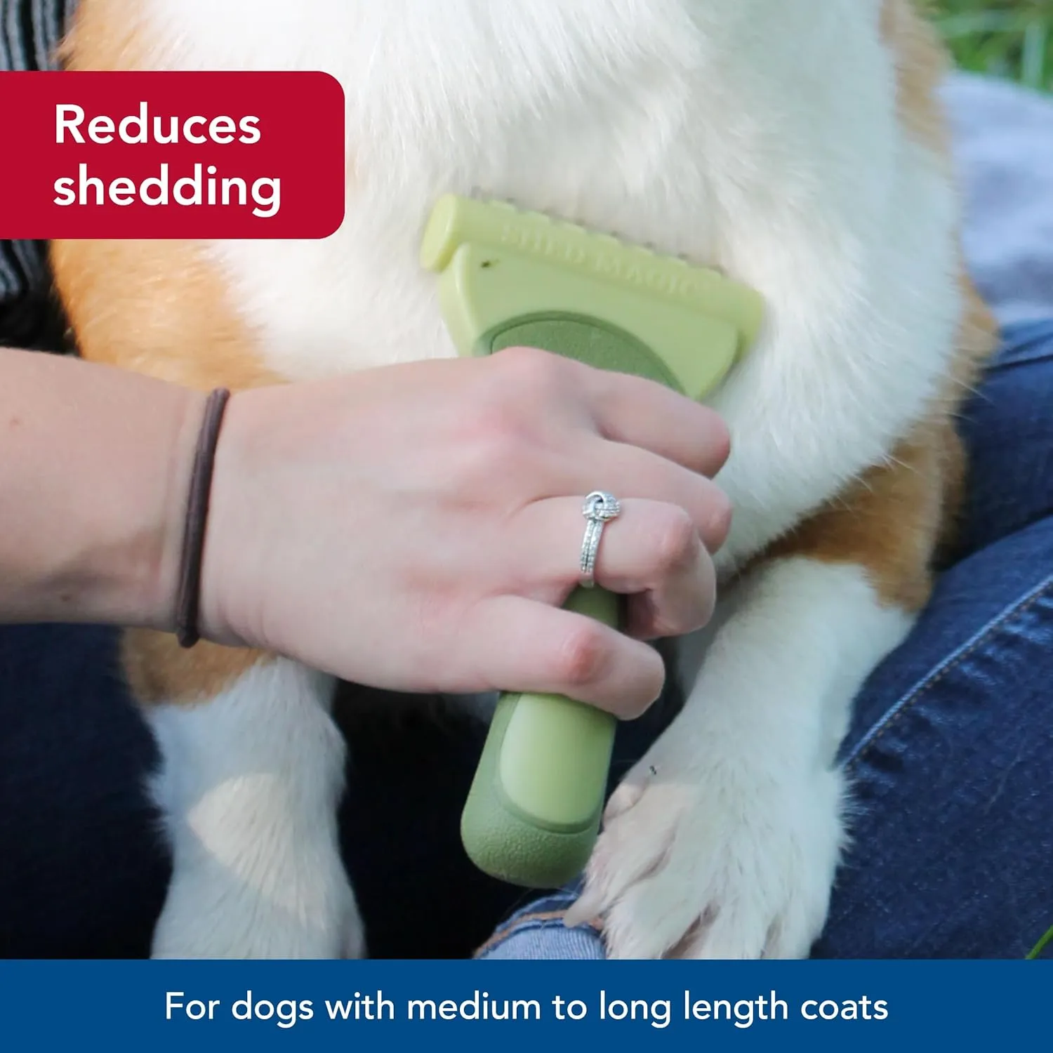Coastal Pet Safari Shed Magic Deshedding Tool for Dogs with Medium to Long Hair - Deshedding & Detangling Dog Brush - Large