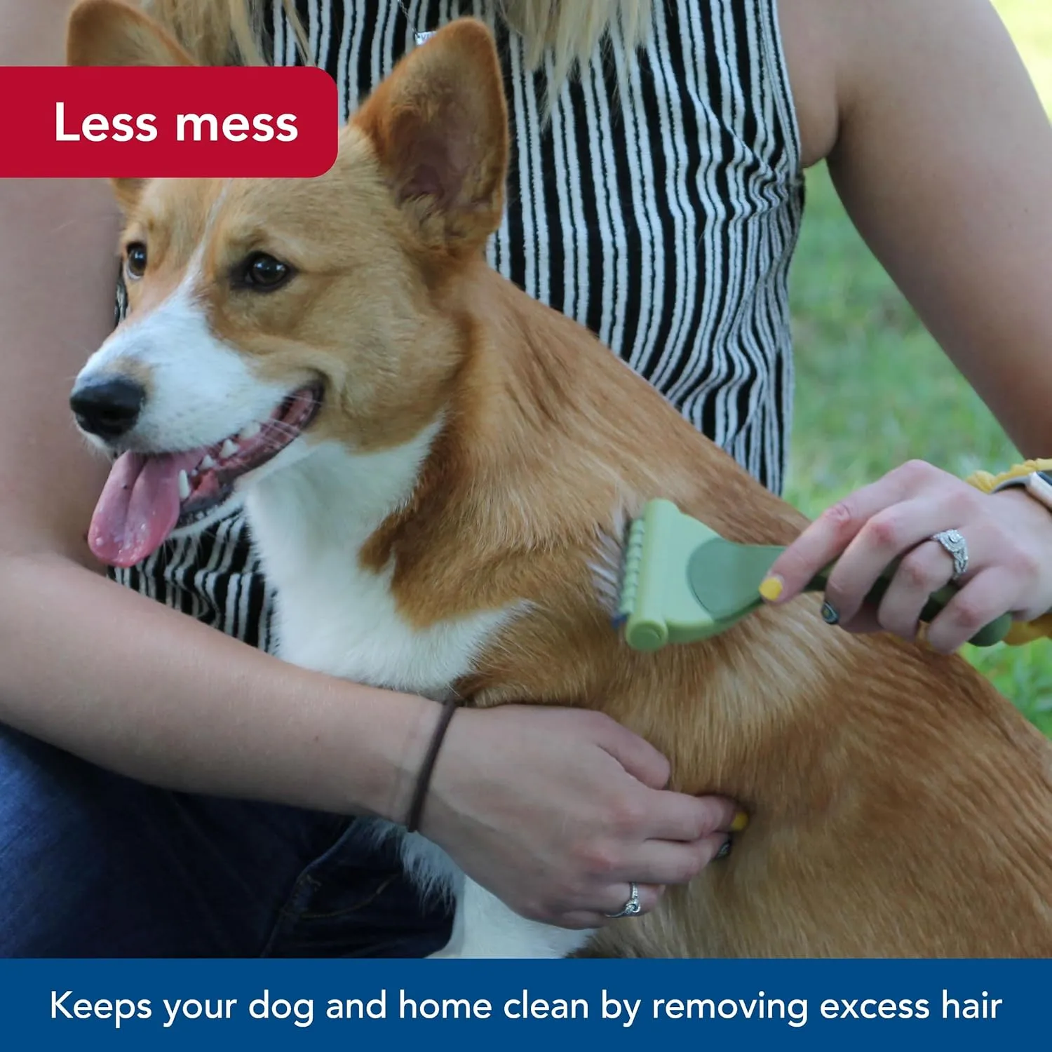 Coastal Pet Safari Shed Magic Deshedding Tool for Dogs with Medium to Long Hair - Deshedding & Detangling Dog Brush - Large