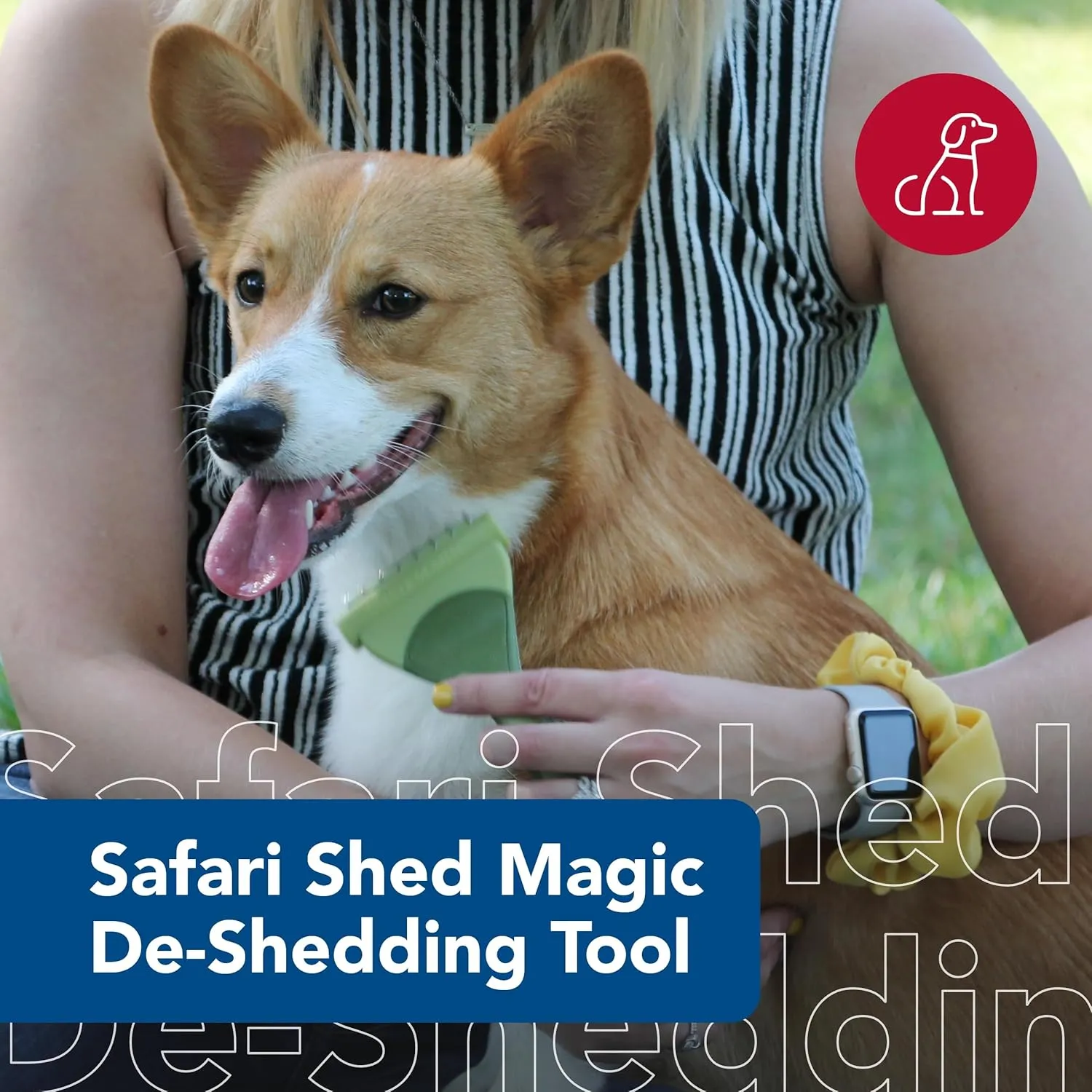 Coastal Pet Safari Shed Magic Deshedding Tool for Dogs with Medium to Long Hair - Deshedding & Detangling Dog Brush - Large