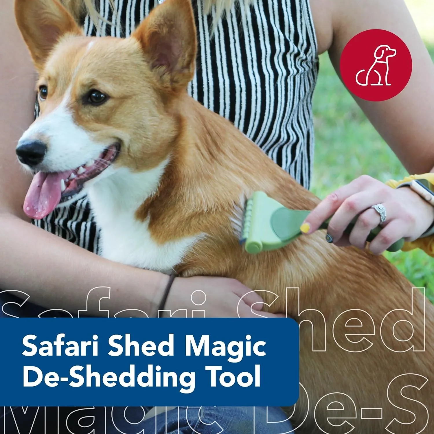 Coastal Pet Safari Shed Magic Deshedding Tool for Dogs with Medium to Long Hair - Deshedding & Detangling Dog Brush - Medium