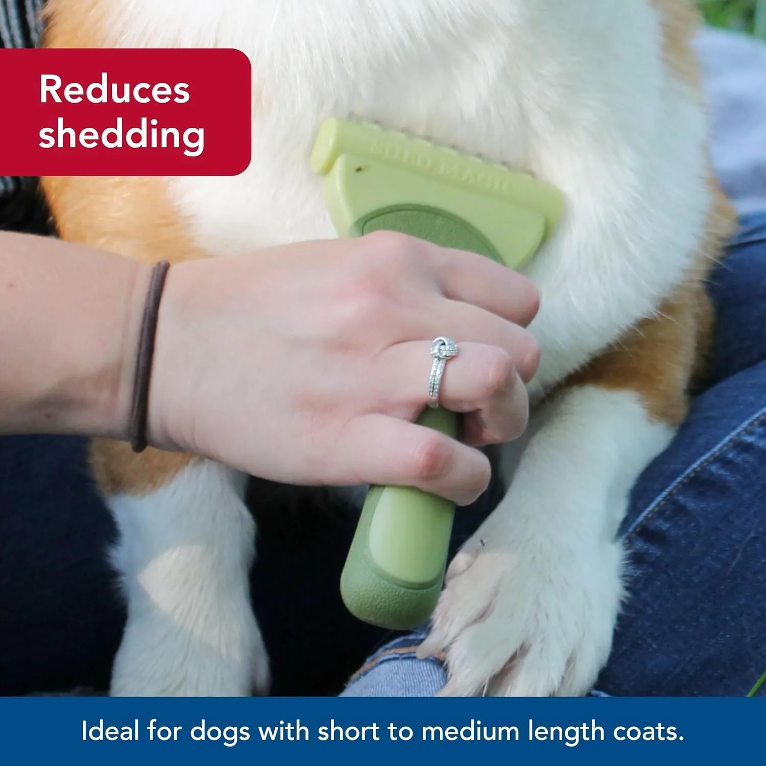 Coastal Pet Safari Shed Magic Deshedding Tool for Dogs with Medium to Long Hair - Deshedding & Detangling Dog Brush - Medium