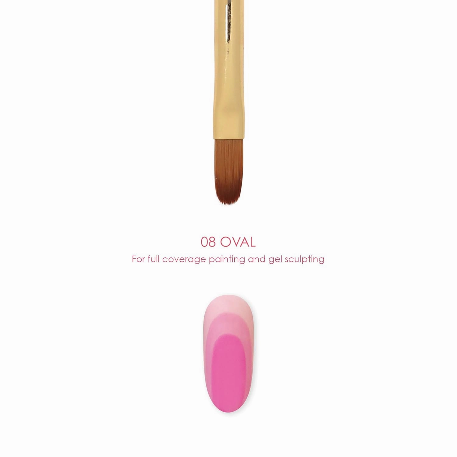 Daily Charme Nail Art Brush / 08 Oval, Large Flat Oval Brush, For Full Coverage Painting & Gel Sculpting