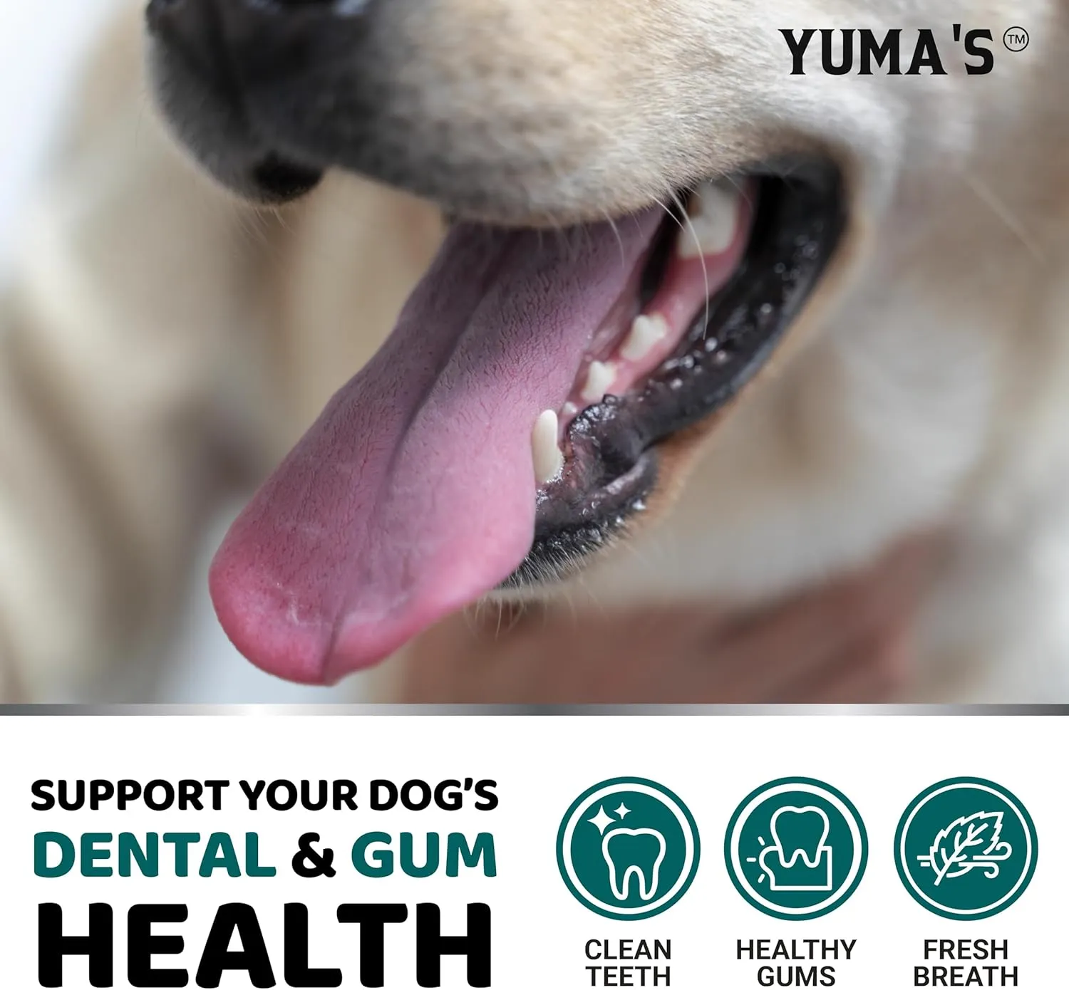 Dog Dental Powder - Breath Freshener - Dog Teeth Cleaning Powder - Tartar and Plaque Off Remover for Dogs - Probiotics - Multivitamin Blend Pet Oral Care Vitamins and Supplements - All Breeds & Sizes