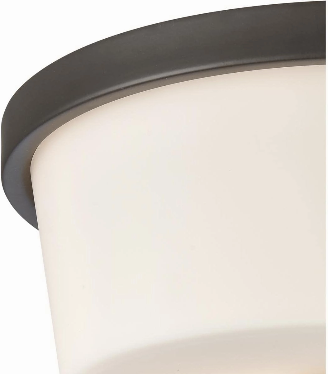 Elk Home Thomas Lighting 2L Flush Mount in ORB