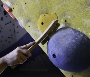Escape Climbing Premium Boars Hair Brush XL | Durable Cleaning Tool for Rock Climbing Holds | Natural Fiber Brush Designed for Ultimate Performance (Tan)