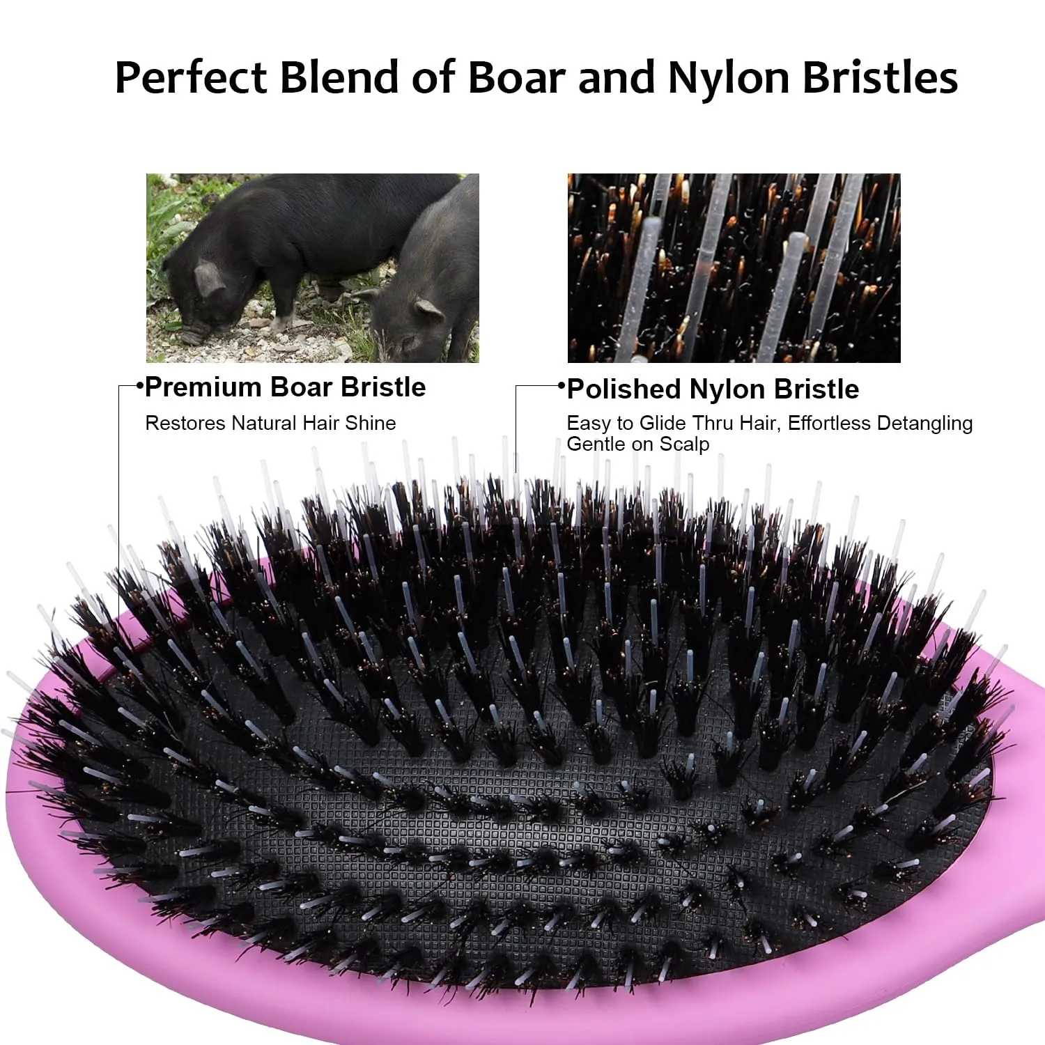 Glidease Matte Boar Bristle Hair Brush with Nylon Refined Smooth Bristle for Women, Men, and Kids - Effortless Detangler Hair Brush Ideal for Thick, Thin, Fine All Hair (Purple)