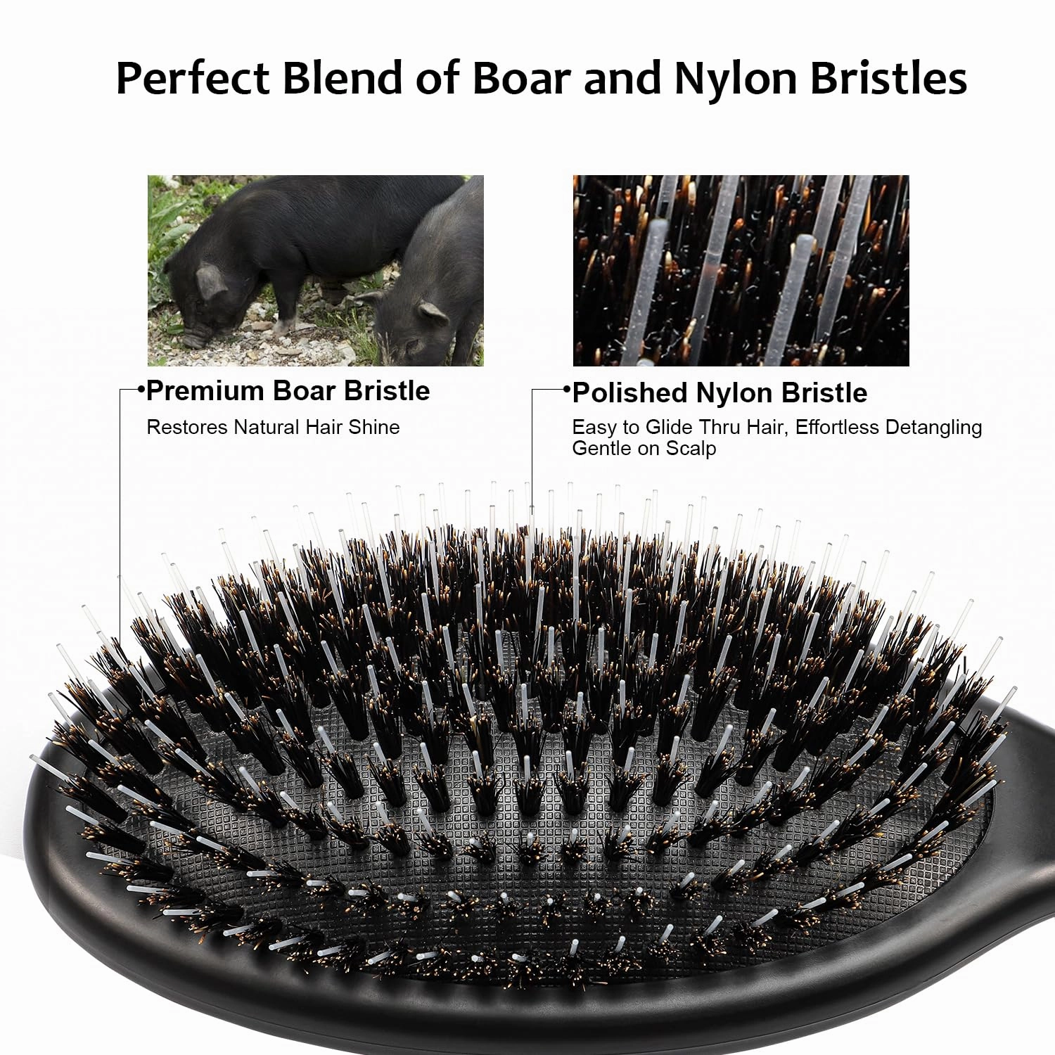 Glidease Matte Boar Bristle Hair Brush with Nylon Refined Smooth Bristle for Women, Men, and Kids - Effortless Detangler Hair Brush Ideal for Thick, Thin, Fine All Hair (Black)