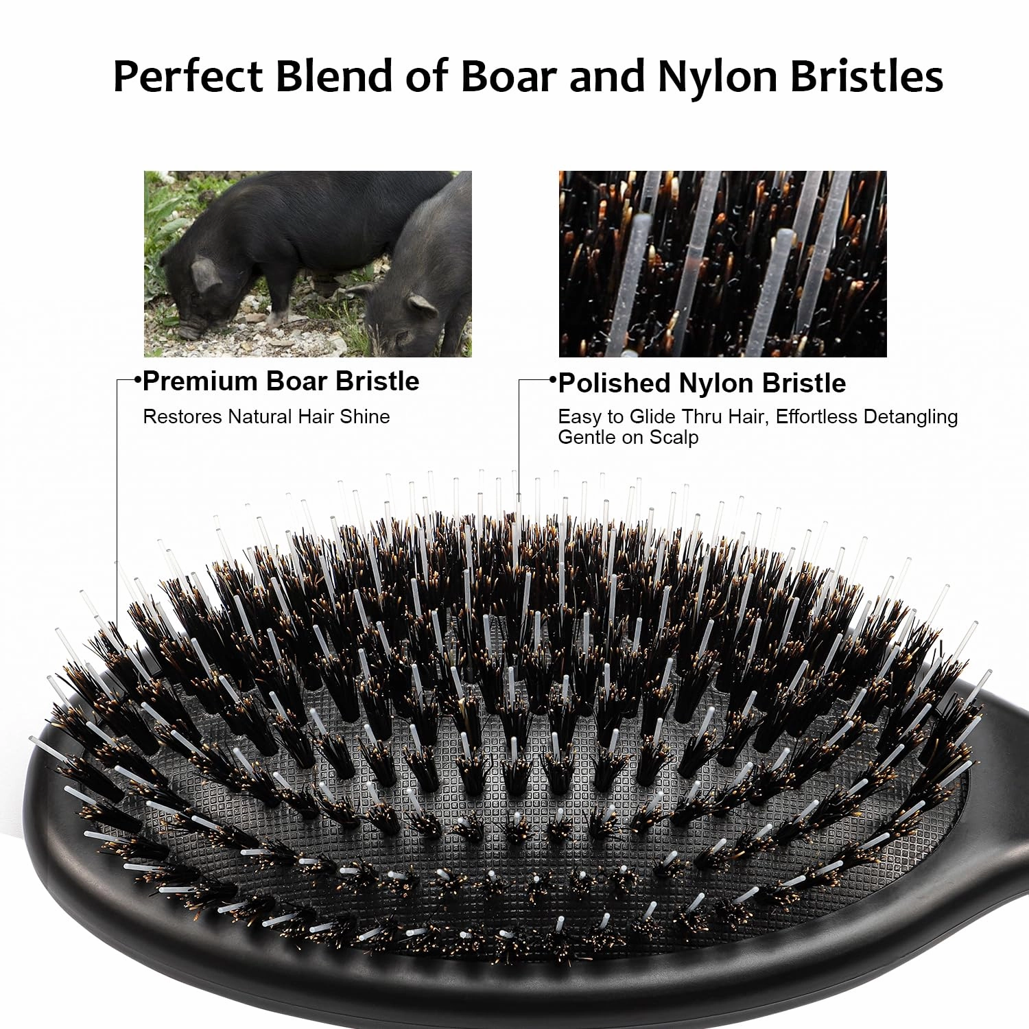 Glidease Matte Boar Bristle Hair Brush with Nylon Refined Smooth Bristle for Women, Men, and Kids - Effortless Detangler Hair Brush Ideal for Thick, Thin, Fine All Hair (Black)