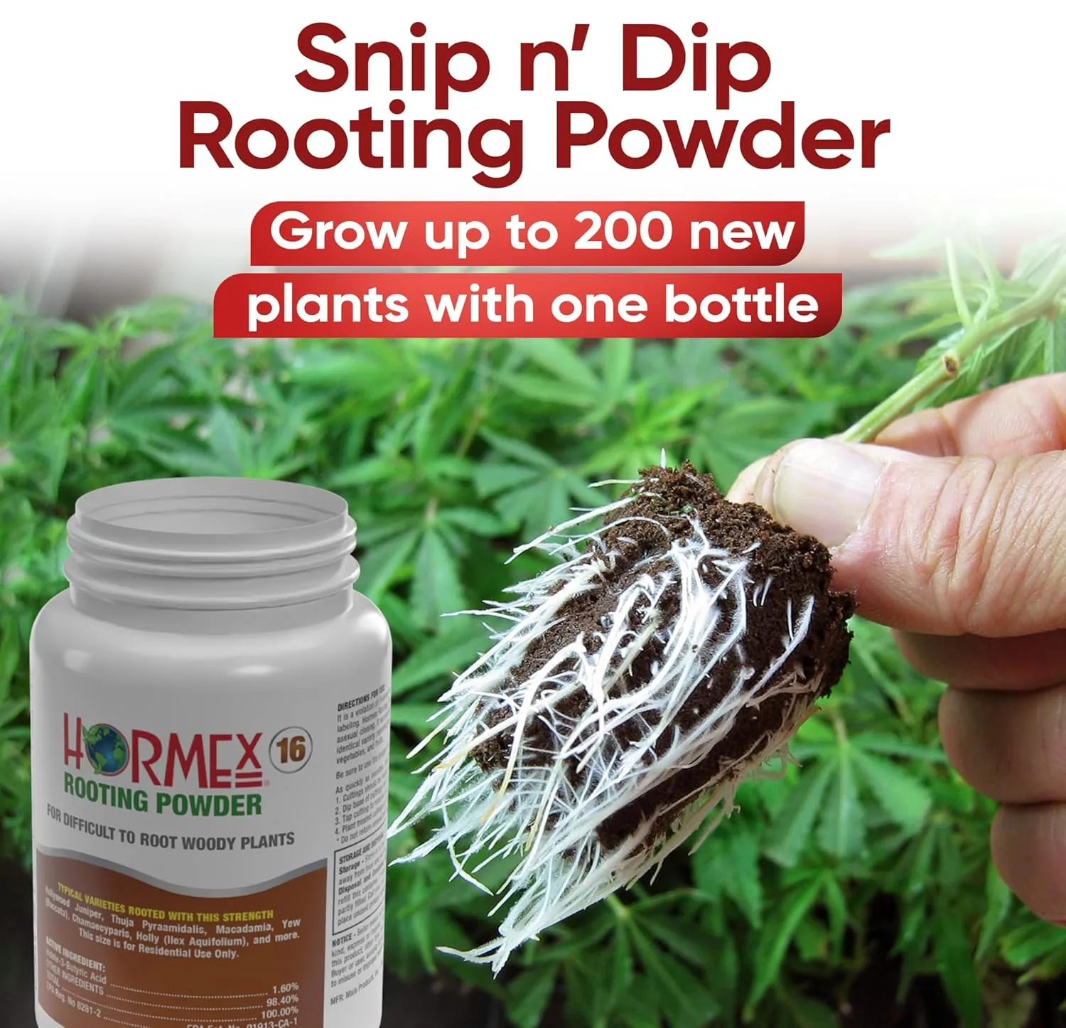 Hormex Rooting Powder #16 (1.60 IBA) - Rooting Hormone for Difficult Hardwood & Tree Cuttings - Root Growth Stimulator for Plant Cloning - Strong Roots for Maximum Propagation Success