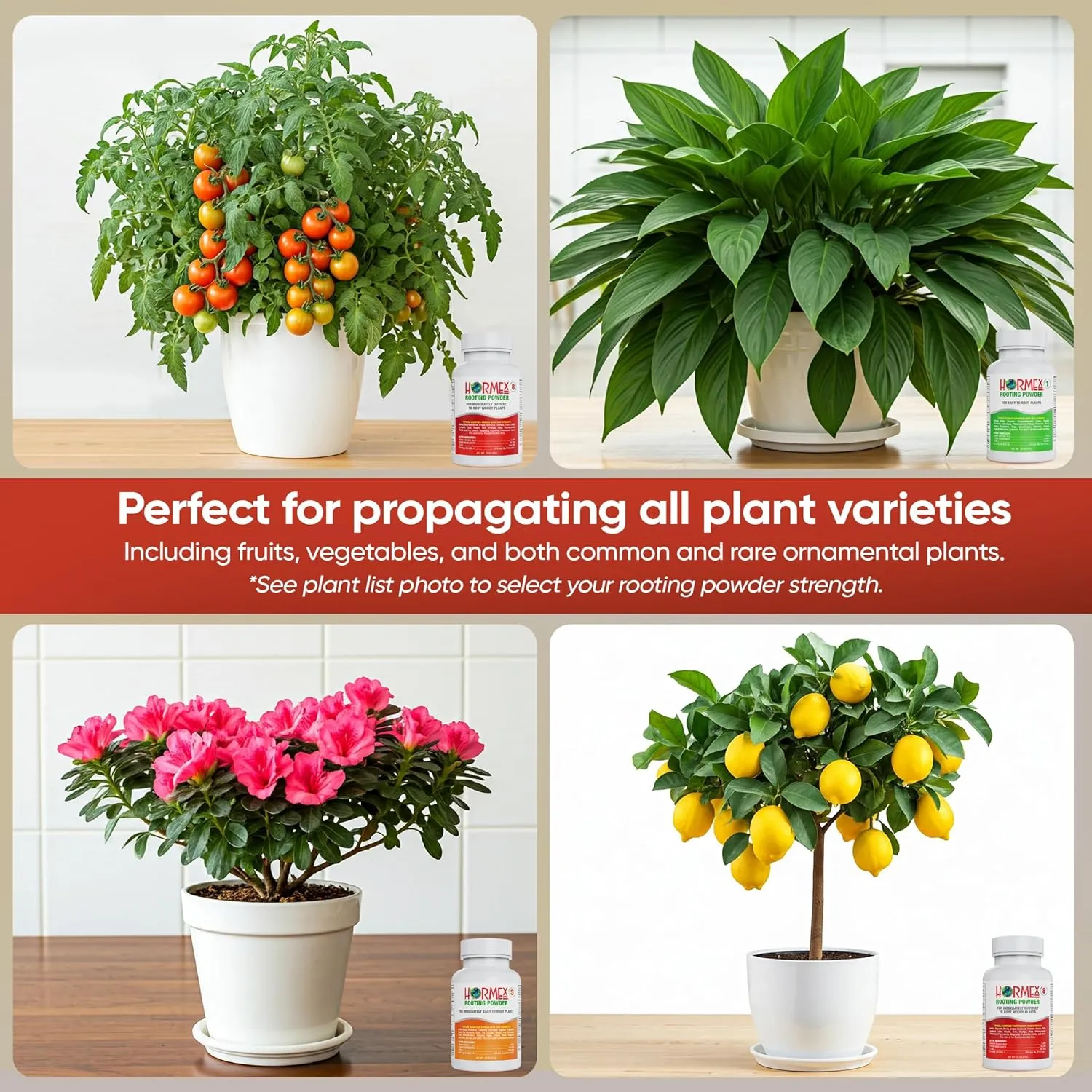 Hormex Rooting Powder Combo #1, 3, 8 (0.10-0.8 IBA) - Root Growth Hormone for Delicate and Common Houseplants to Semi-Hardwood, Medicinal Plants and Tree Cuttings - Root Stimulator for Plant Cloning