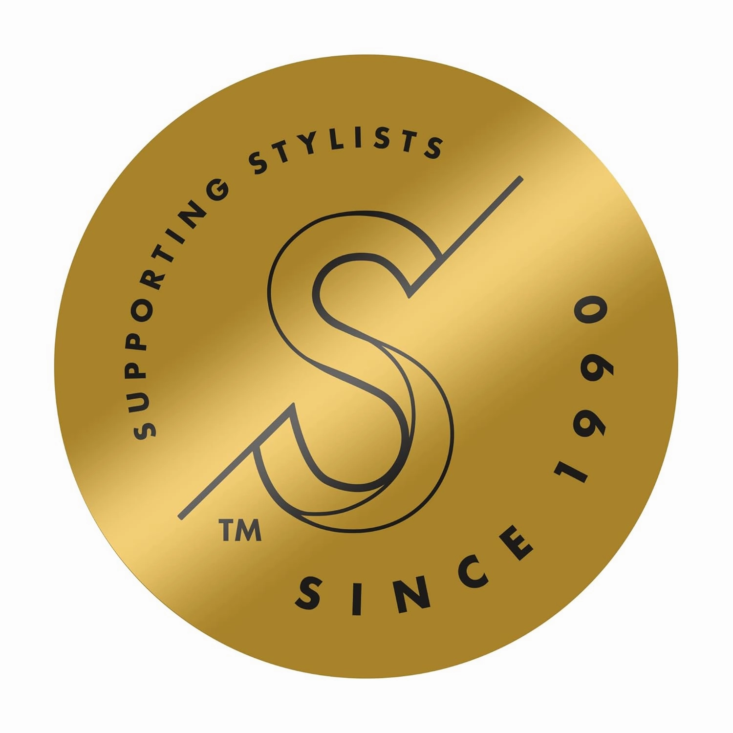 Hot Tools Pro Artist Black Gold One Step Replacement Attachment | Pro Drying & Styling (Small)