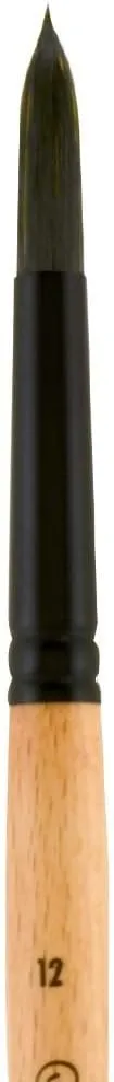 Hyatt's Princeton Artist Brush, Catalyst Polytip Brush Set for Acrylic and Oil Paint, 6401 4 Piece Set