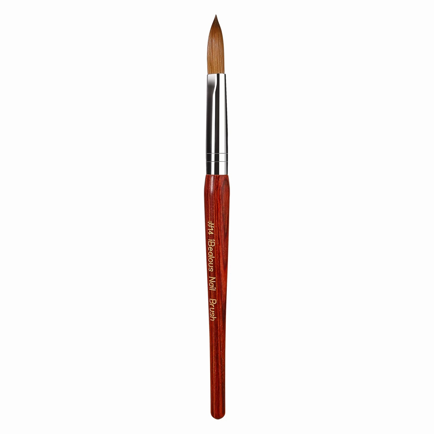 Kolinsky Acrylic Nail Brush - Professional Red Wood Sable, Oval Shaped for Nail Extension, Carved 3D, Home Salon Tech Beginner (Size 14)