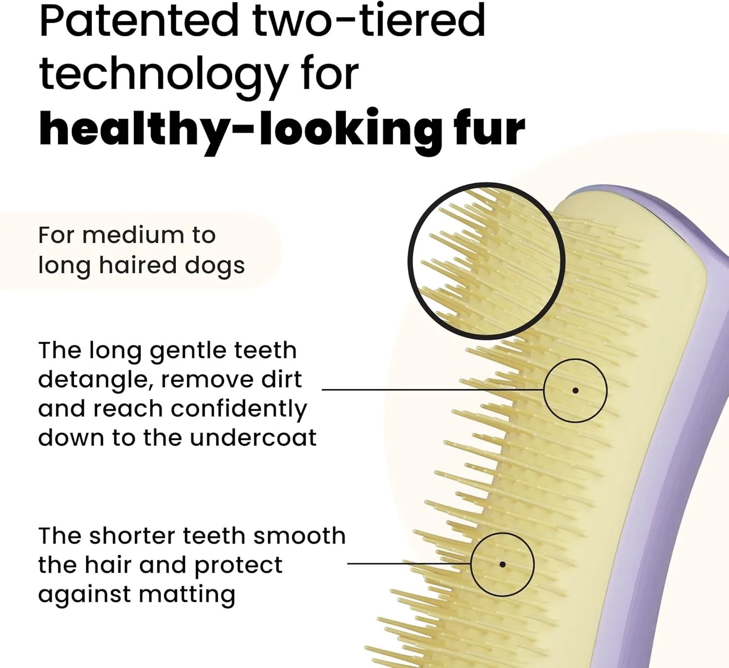 Pet Teezer by Tangle Teezer Detangling Dog Grooming Brush, Dry Brush & Dog Bath Brush for Wet or Dry Fur & Light Shedding Breeds, Small, Lilac/Yellow