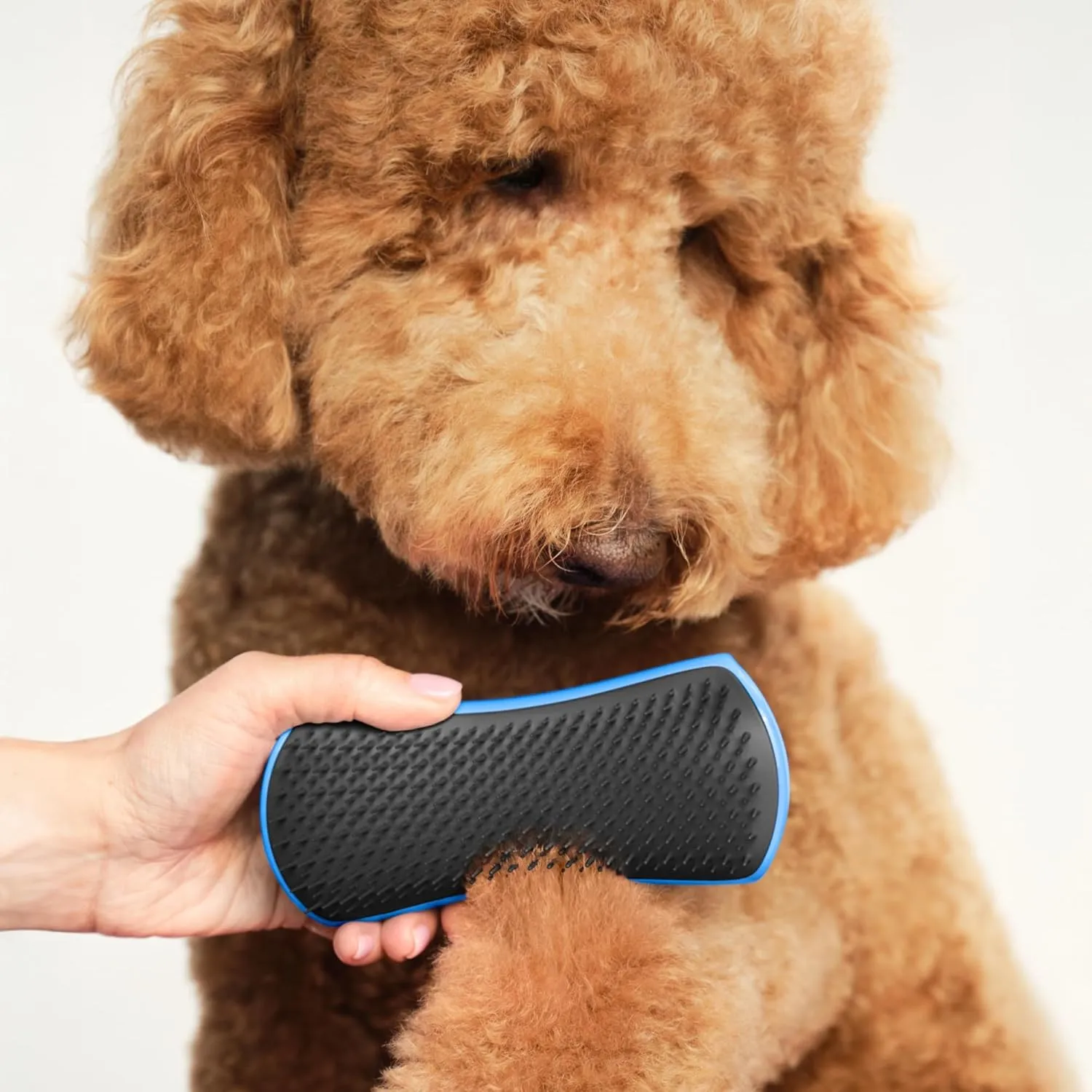 Pet Teezer Detangling Dog Brush by Tangle Teezer, Dog Grooming Tool for Long Haired Breeds and Wet or Dry Fur, Blue & Grey