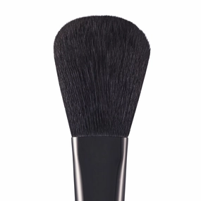 POWDER BRUSH PD2