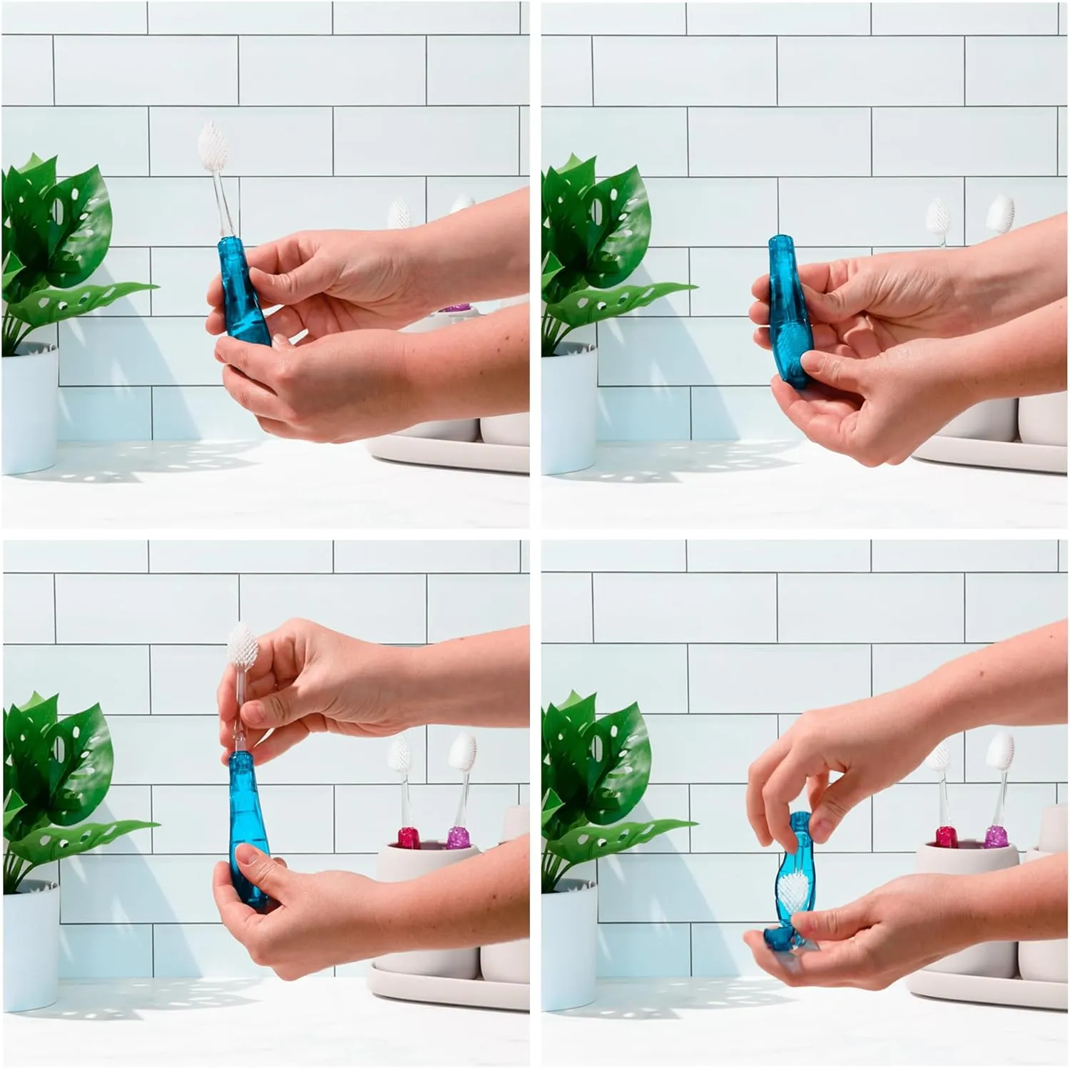 RADIUS Tour Travel Brush & Case with Replaceable Brush Head ADA Accepted Toothbrush Improve Gum Health - Assorted Colors - Pack of 6