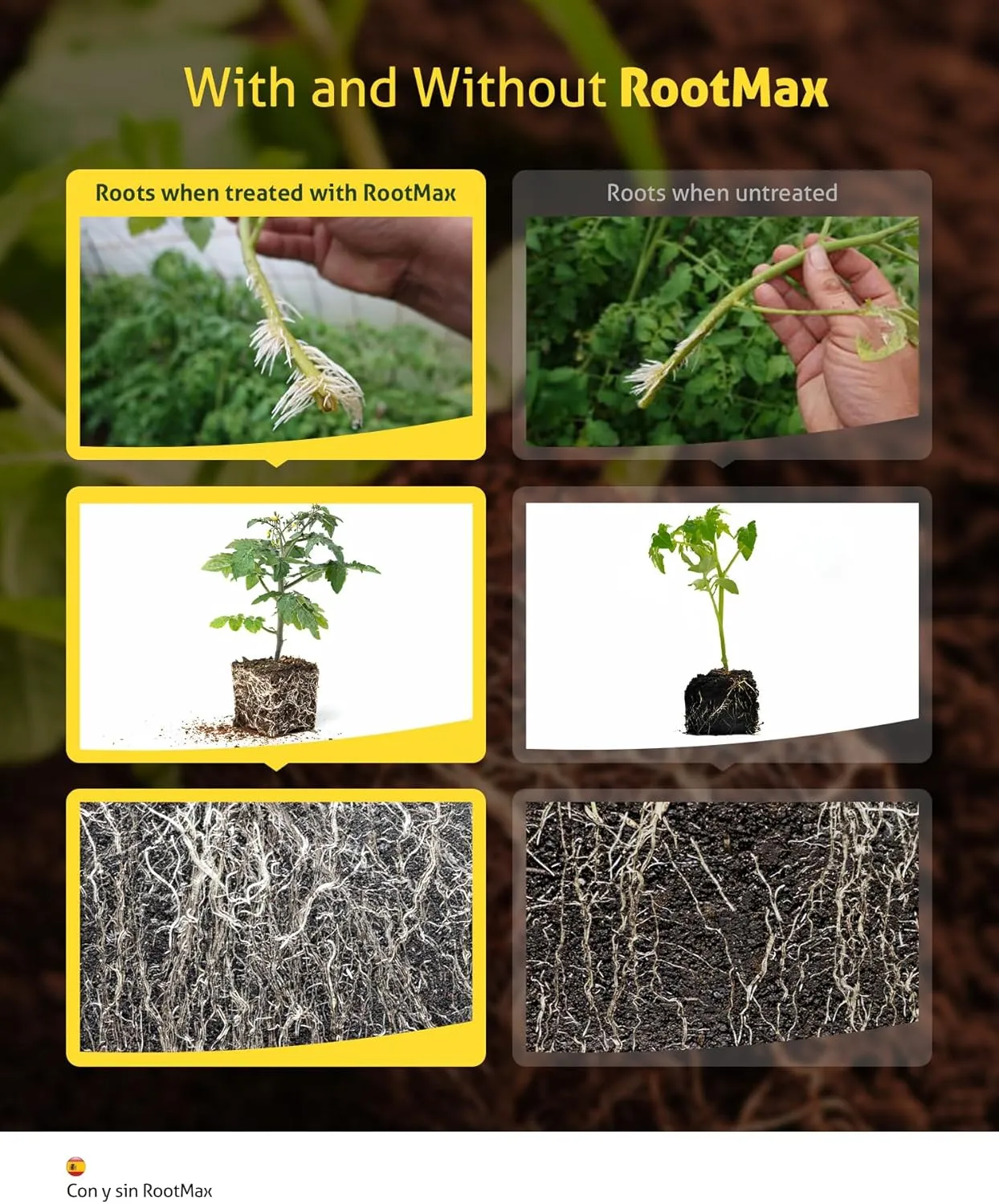 RootMax - Mycorrhizal Fungi (200 g/7.05 oz) | Rooting Powder for All Plants, Trees, Flowers & Edibles | Direct to Root Inoculant | Treats 40  Plants