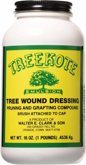 Treekote Tree Wound Dressing Brushtop 16OZ Brushtop for Trees and Shrubs - Healing Paste and Tree Wound Sealer - Pruning Sealer, Grafting Compound - Made in the USA