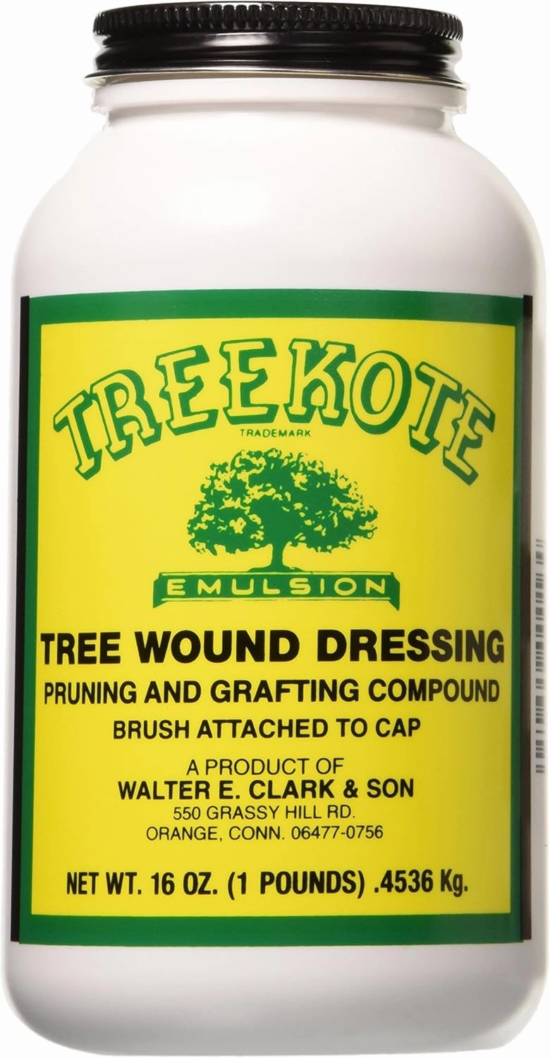 Treekote Tree Wound Dressing Brushtop 16OZ Brushtop for Trees and Shrubs - Healing Paste and Tree Wound Sealer - Pruning Sealer, Grafting Compound - Made in the USA