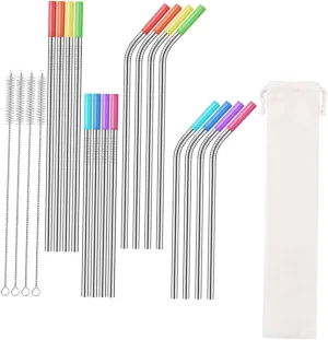 VALICLUD 1Set Multipurpose Stainless Steel Drinking Straws with Cleaning Brush Sleeve and Bag Versatile for All Cup and Vibrant Design for Outdoor Use and Parties