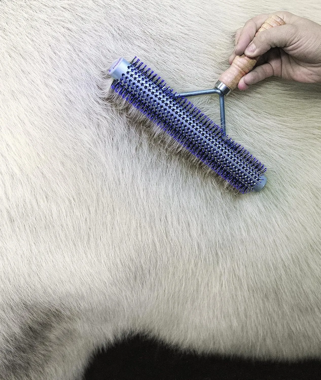 Weaver Leather Livestock Wide Range Brush,69-6013, Silver/Purple